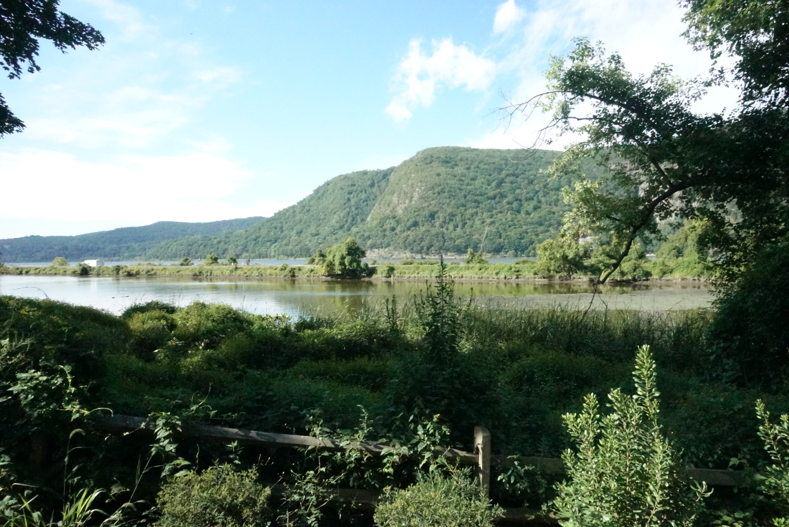 Cold springs, NY