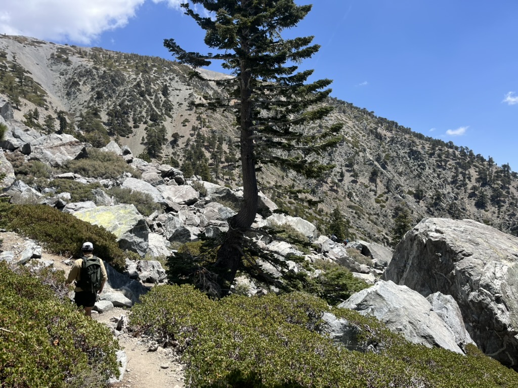Mt Baldy, California