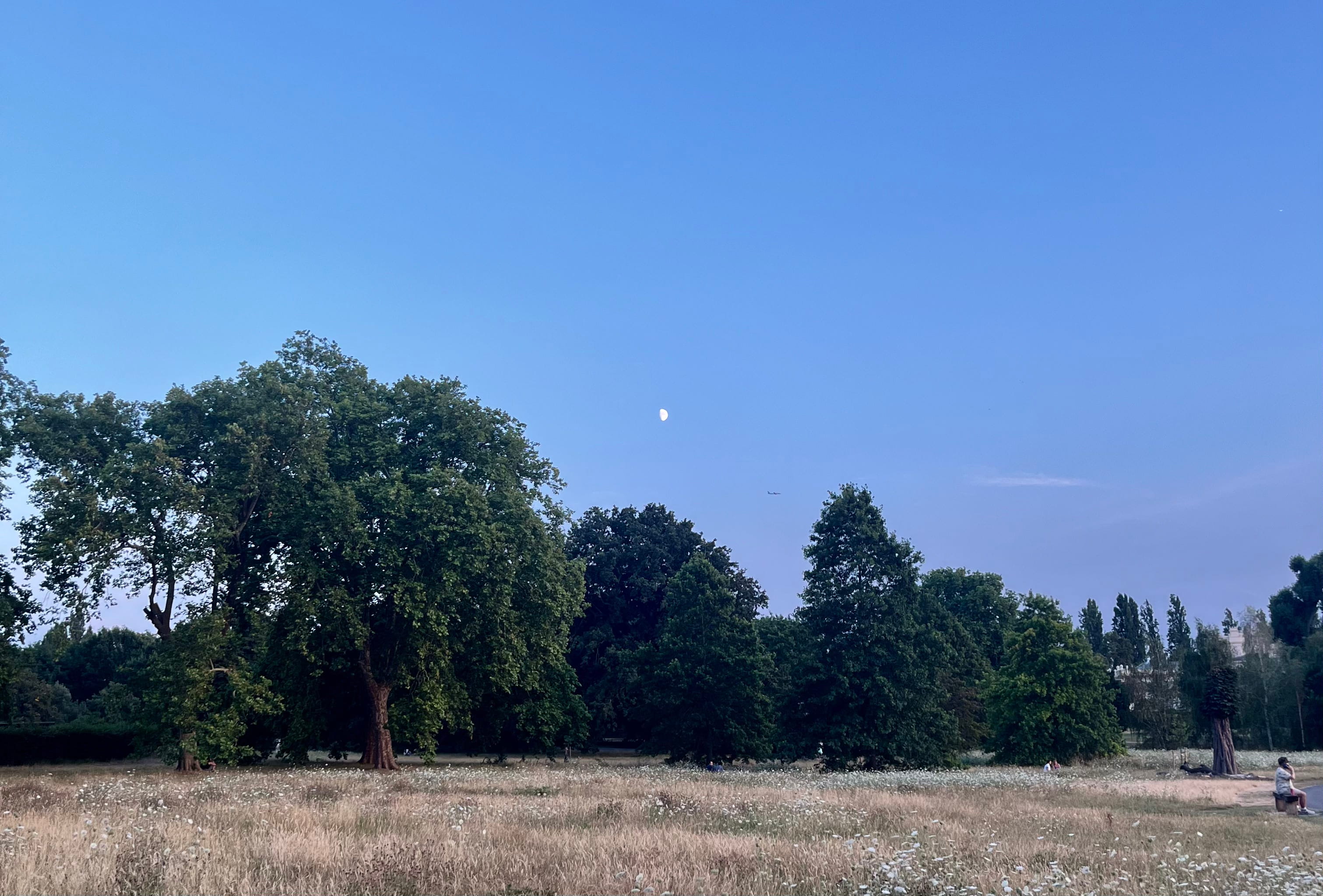 Regent's Park, London