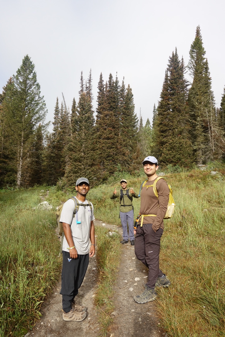 Hiking the trail through the pines