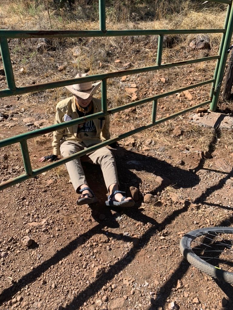 Gates were the death of us
