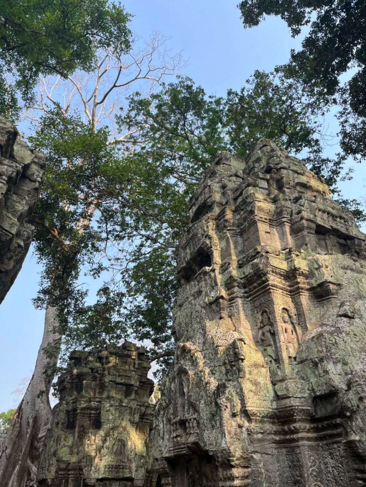 Temples within the jungle