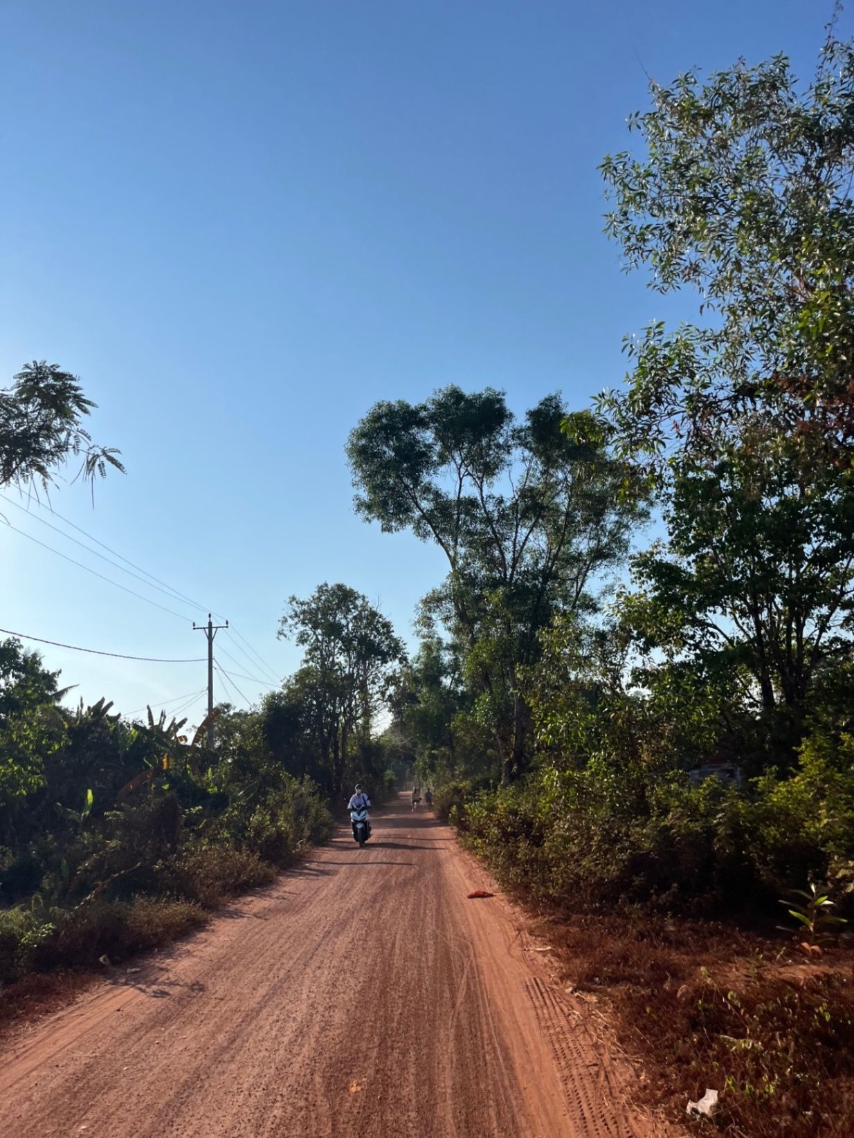 Red dirt roads