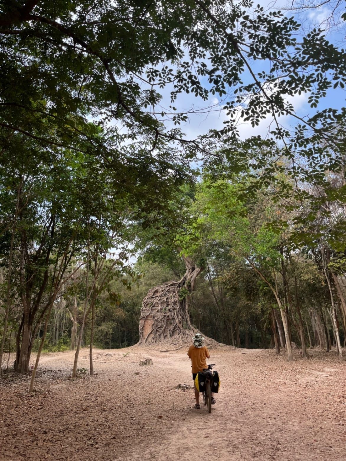 Epic overgrowth Angkor ruins