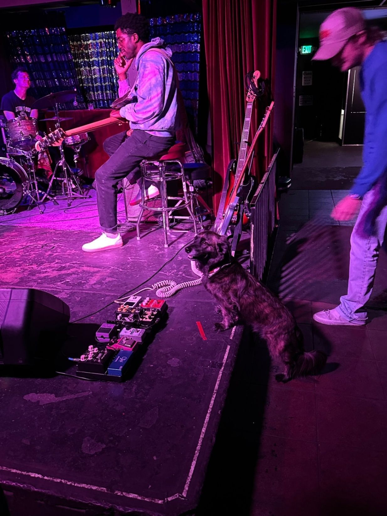 Diego the dog at Silverlake Lounge