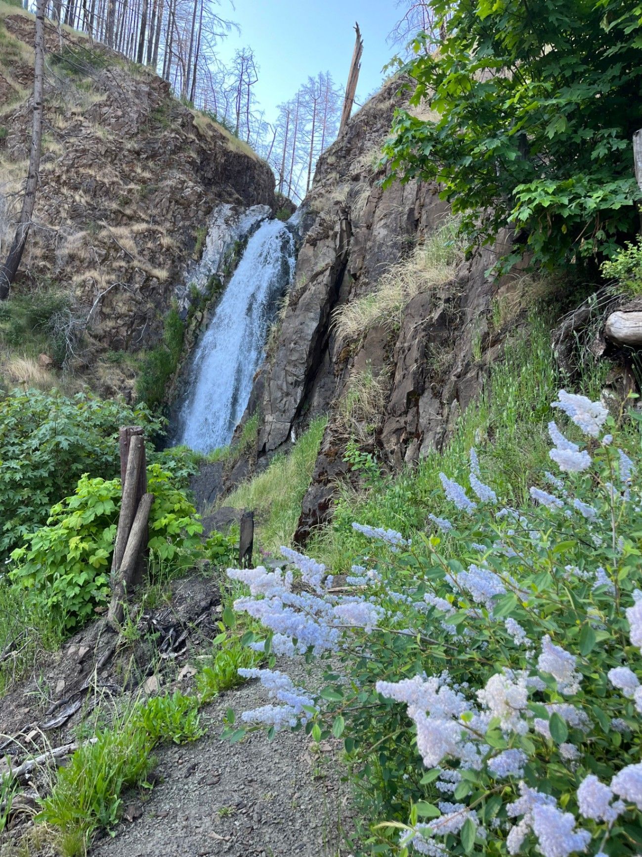 Umpqua National Forest