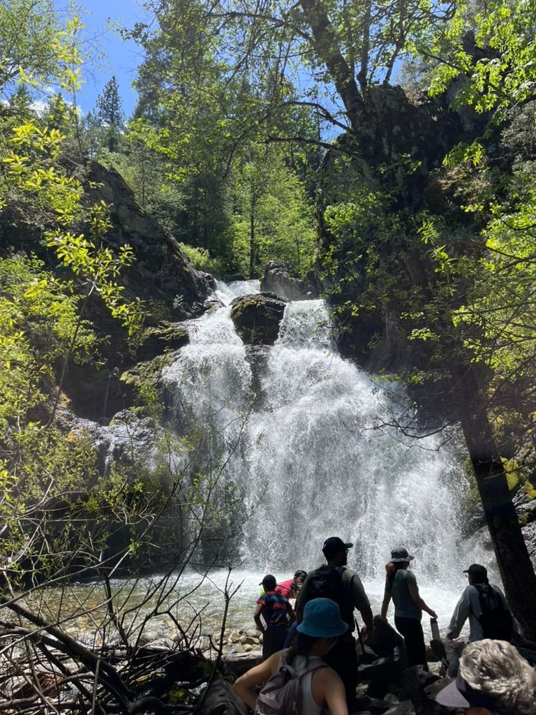 A picture of the waterfall that we ate lunch at