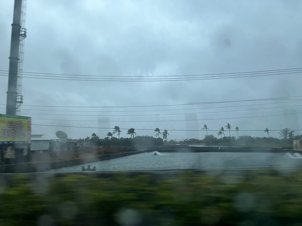 Typhoon