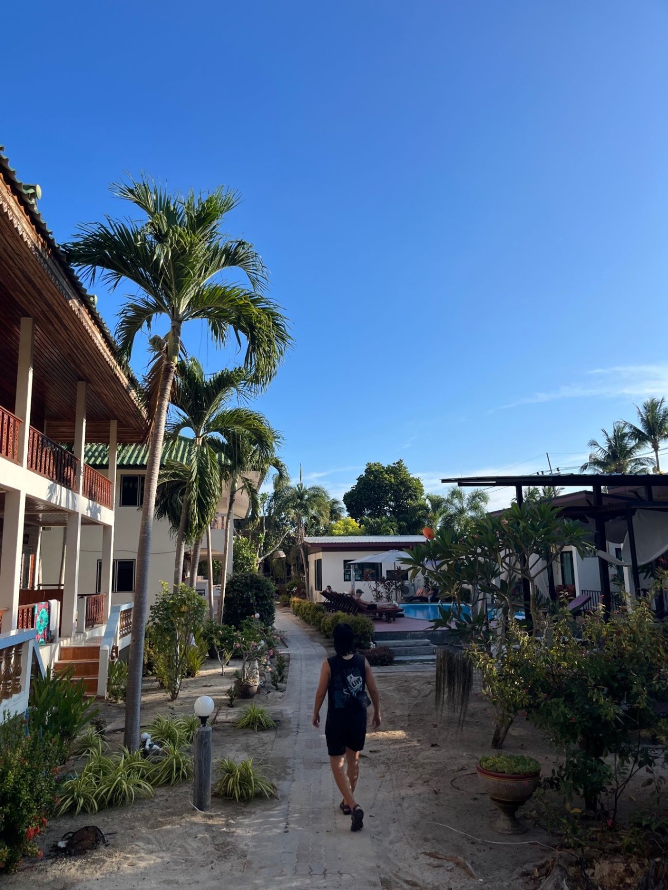 Koh tao hostel
