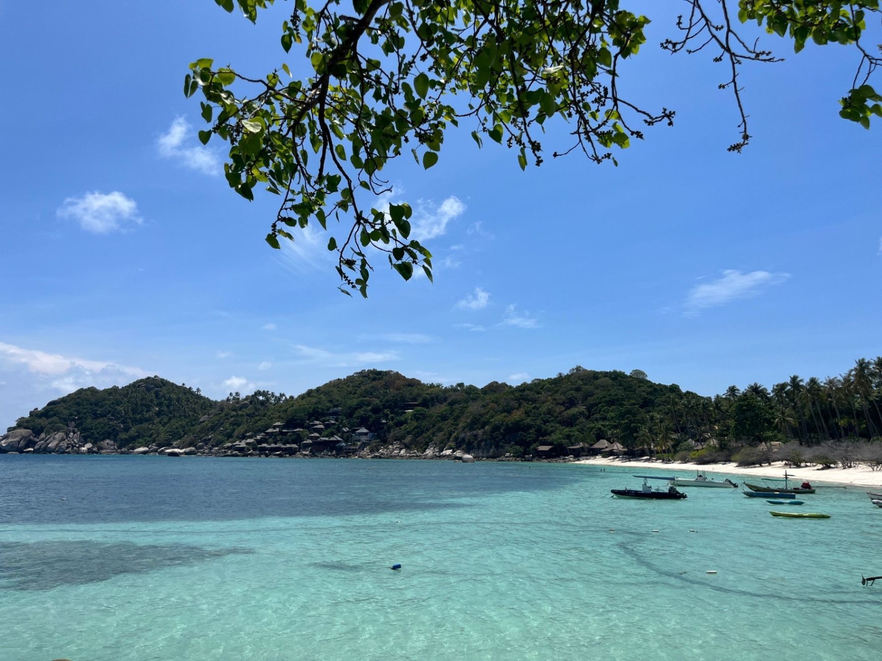 Koh tao ocean
