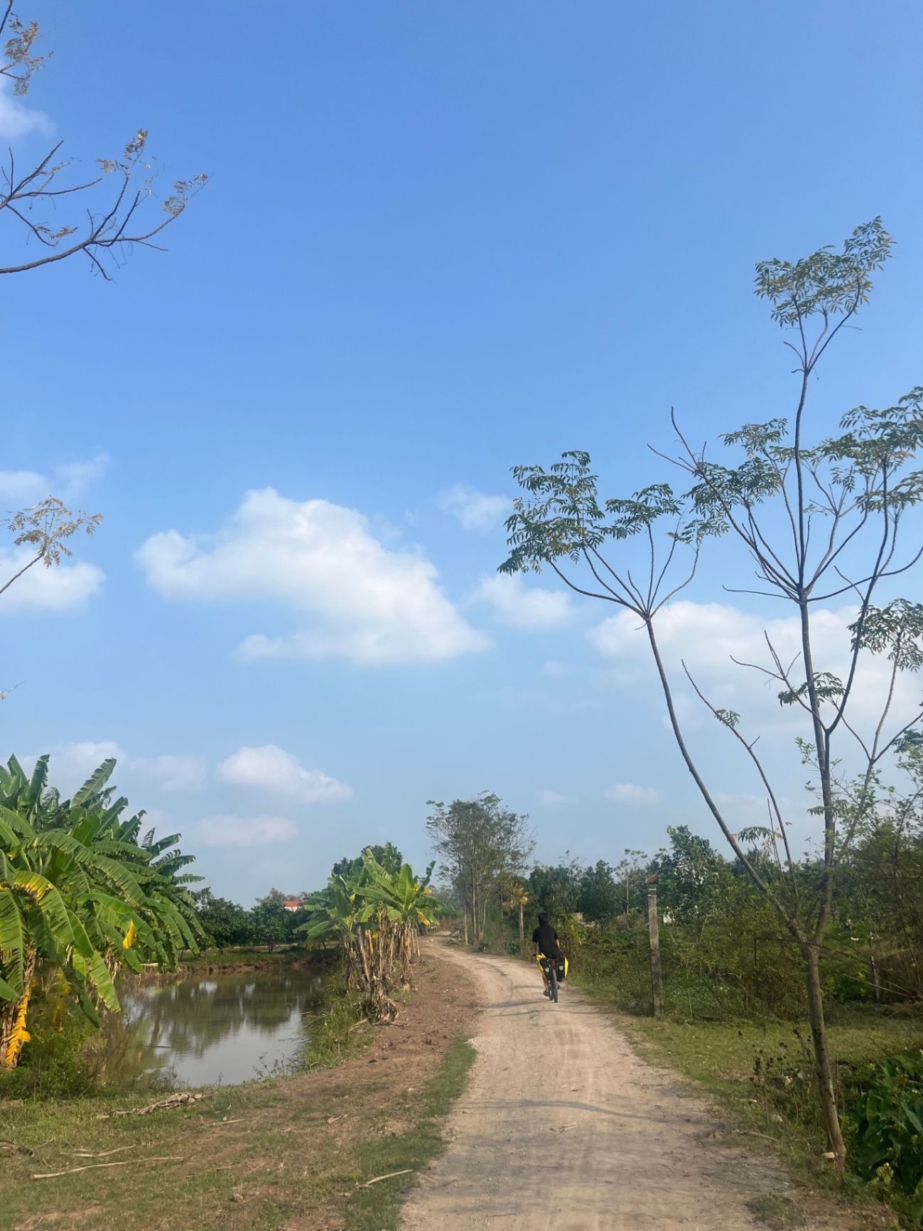 Biking through farmland and plantations