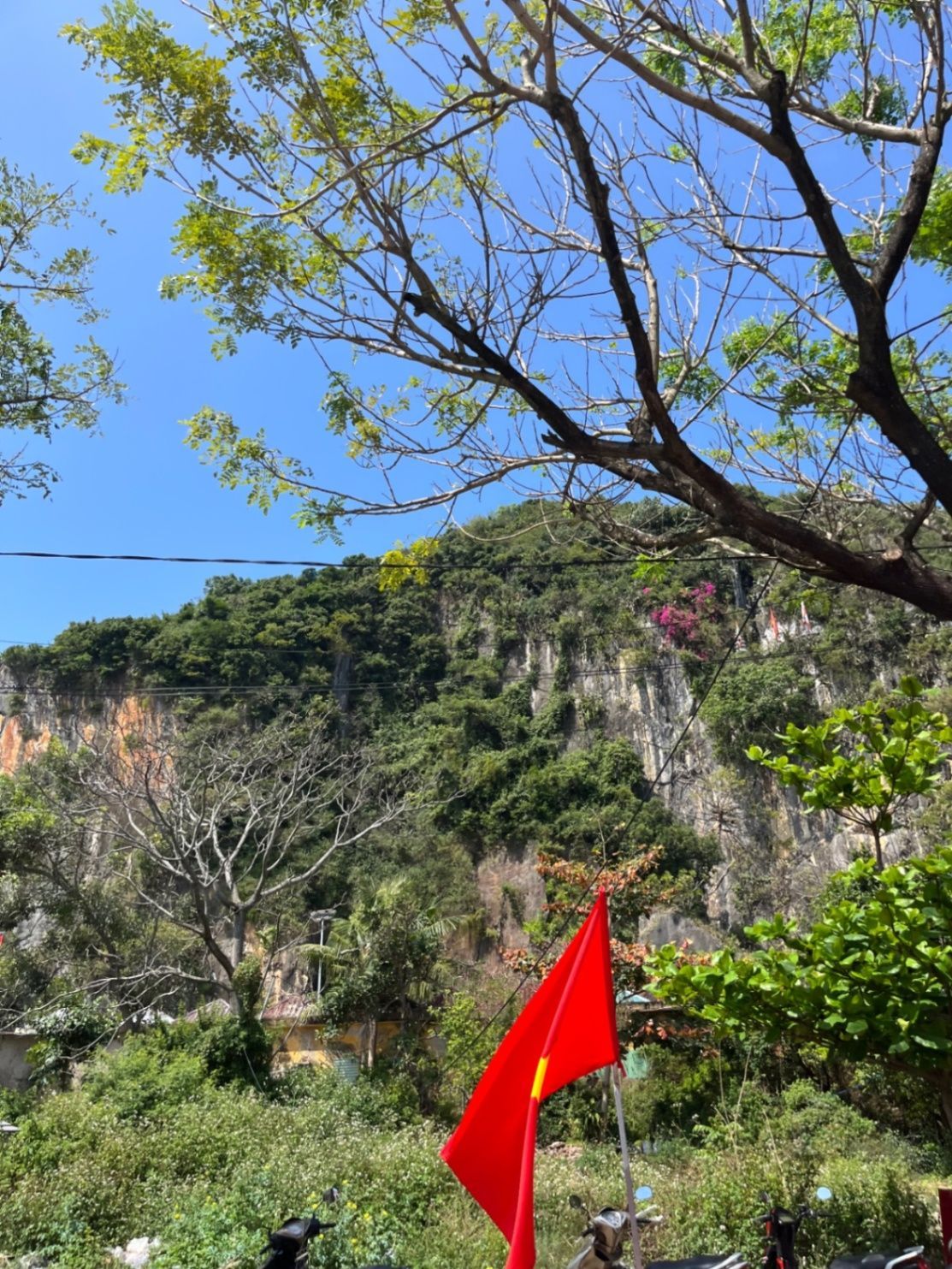 Beautiful picture of nature in Vietnam