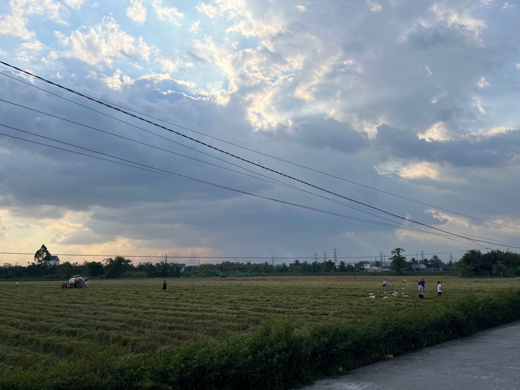 Biking through farm fields
