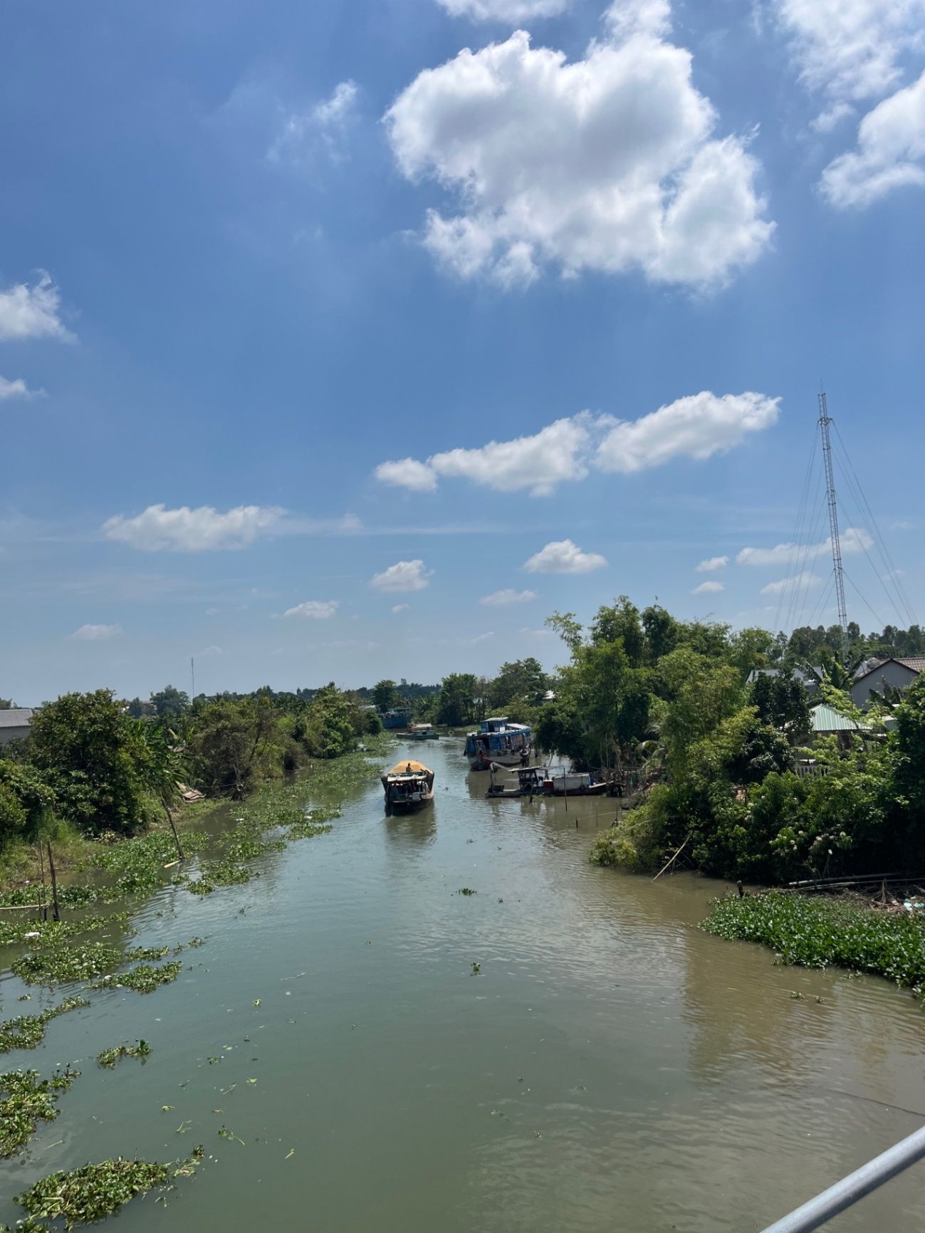 Picture of the Mekong River Delta