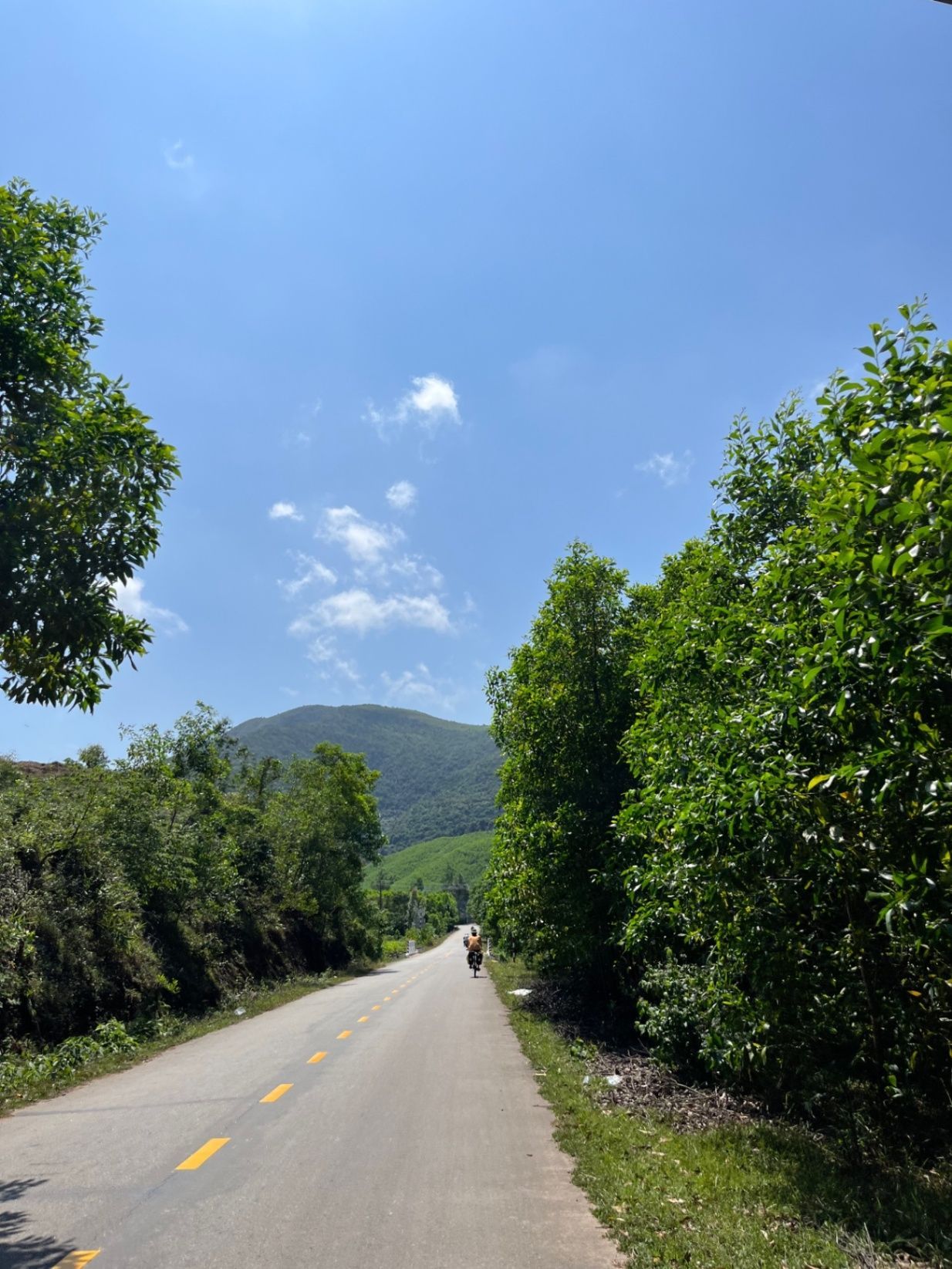 Quite the nice day to bike