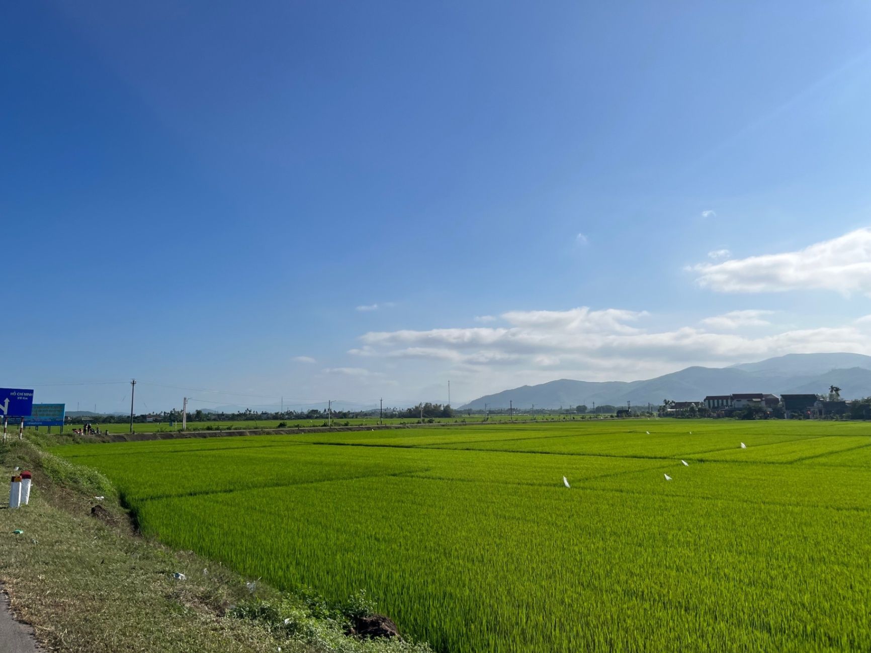 Pretty rice fields while we go south